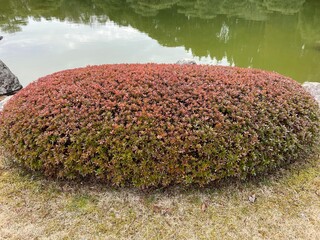 素敵な公園