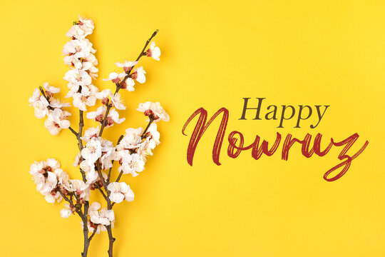 Sprigs of the apricot tree with flowers on yellow background Text Happy Nowruz Holiday Concept of spring came Top view Flat lay Hello march, april, may, persian new year