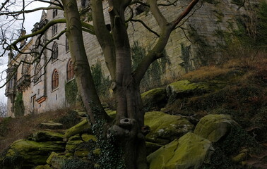 castle old tree hill rocks dark haunted house