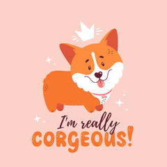 Corgi with crown and quote - I am really corgeous. Welsh corgi print for card, poster or t-shirt design. Vector illustration isolated on pink background. Cute dog and funny hand drawn lettering.