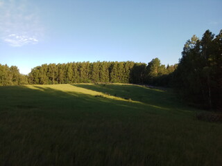 landscape with trees and sky