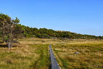 Scandinavian hiking trail on a field in Koster island, Sweden