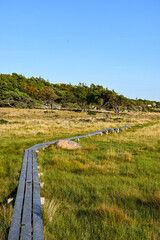 Fototapeta na wymiar Scandinavian hiking trail on a field in Koster island, Sweden