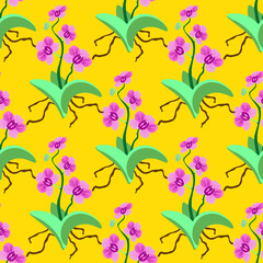 Vector - orchid flowers, seamless pattern.
