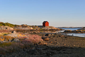 Traditional little red Scandinavian Swedish cabin on the shore of the Koster island