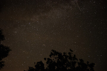 Starry night long exposure photography in Sweden
