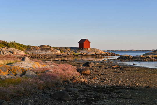 Traditional little red Scandinavian Swedish cabin on the shore of the Koster island
