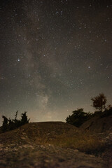 Milky way and universe at night above tree in Sweden