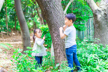 森で遊ぶ子どもたち