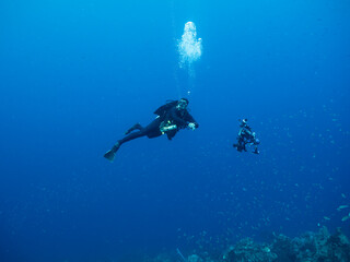 Professional diver, underwater cinematographer in coral reef of Caribbean Sea around Curacao