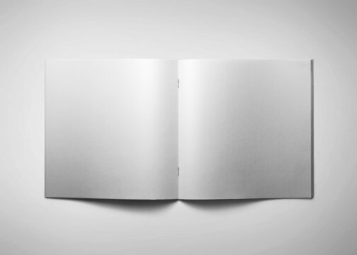 3d rendering mock up business brochure
