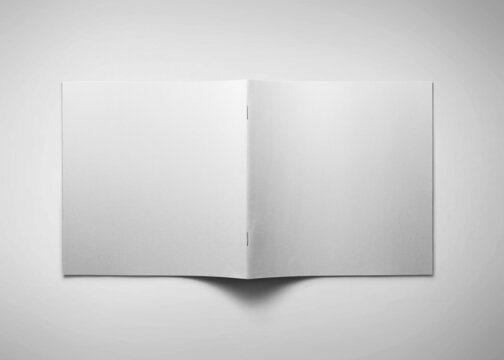 3d rendering mock up business brochure