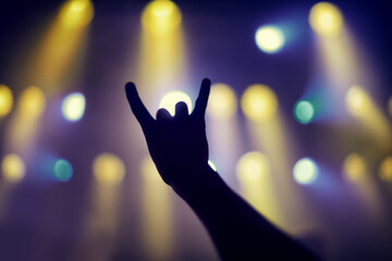 Cropped shot of a persons hands at a music concert. This concert was created for the sole purpose of this photo shoot, featuring 300 models and 3 live bands. All people in this shoot are model