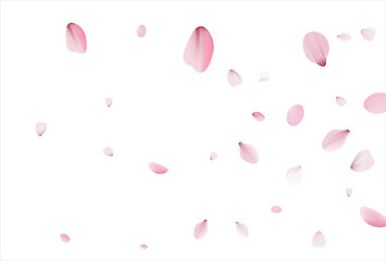 Sakura background, cherry vector background