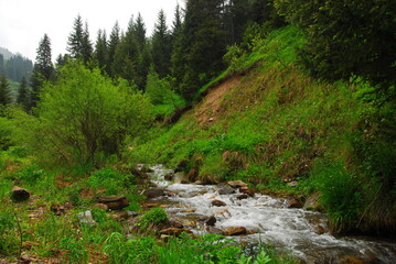 Fototapeta na wymiar Almaty region, Kazakhstan - 13.06.2009 : The river passes through a mountainous area with different vegetation and stone ledges