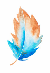 Fototapeta premium Watercolor feather.