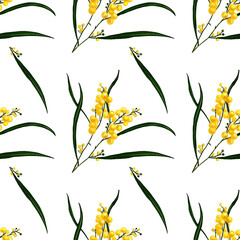 seamless pattern illustration mimosa yellow
