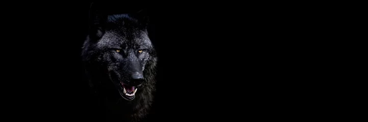 Schilderijen op glas Template of a black wolf with a black background © AB Photography