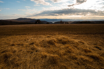 hay on a field in nature for wildlife
