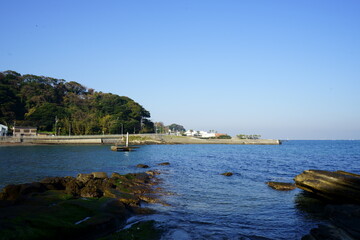 冬の海