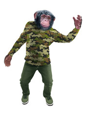chimpanzé, habillé, militaire, camouflage, force, soldat, attitude, model, mouvement, drôle, armé, salut, sympa, guère, sport