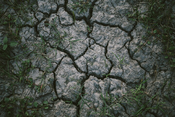 Drought of natural disasters, resulting from inability to plant, land is cracked. Soil contaminated with chemicals.