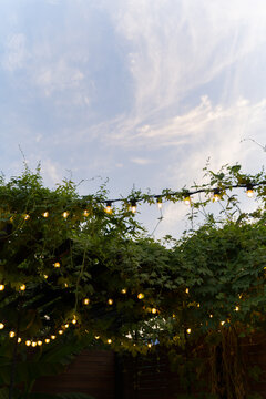 Illumination in the patio. Evening lighting with beautiful light bulbs at a birthday party