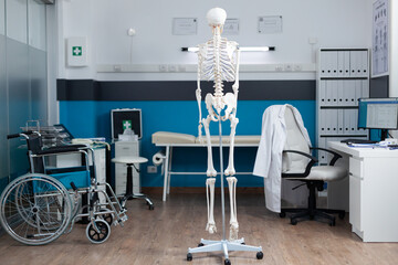 Back shot of human body skeleton standing in empty doctor office with nobody in it. Anatomical...