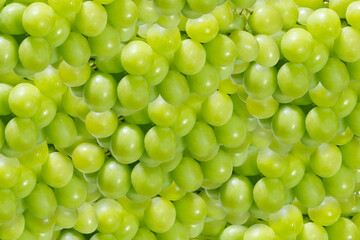 Background Of Are Flat Of Green Grapes Raw Texture	