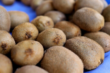 kiwi harvest. many kiwis. kiwi harvest top view. kiwi close up