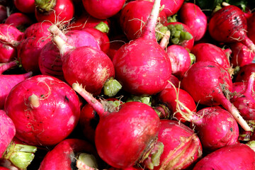 Fresh healthy red radish close up