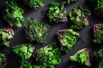 Kalette, kale sprouts or flower sprouts on black background