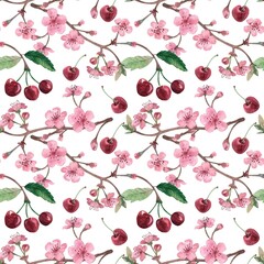 Seamless pattern. Cherry blossoms and berries,,Japanese sakura, botanical watercolor