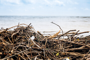 The sea coast after the storm. Plastic and wood waste on the beach pollute the environment. An environmental problem