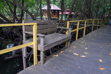 ironwood chairs for tourists resting in the mangrove forest tourism park
