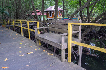 Fototapeta na wymiar ironwood chairs for tourists resting in the mangrove forest tourism park