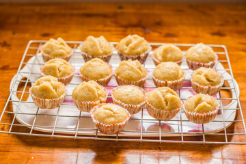 The bakery is finished and placed on a large grid.