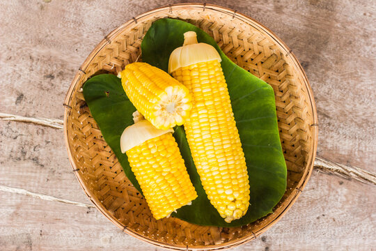 Two corncobs are placed in a container.