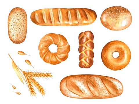 Watercolor set of various types of bread and pastries .  Watercolour food illustration.