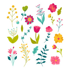 Spring Flowers. Summer and Spring blossom forest and garden flowers field isolated on white background. Floral set. Nature springtime Flower. Vector illustration.
