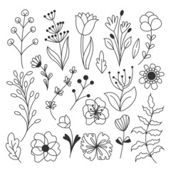 Big vector set of Flowers. Hand drawn Flower and branch doodle. Branches, petals, flowering plants, and others. Black and white sketch of bouquets, romantic leaves. Isolated on white background.