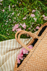 picnic blanket with straw hat and bag on green grass covered with pink sakura flowers