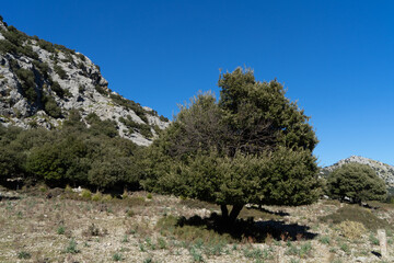 Embassament de Cúber Refugio de Cúber Mallorca Spanien