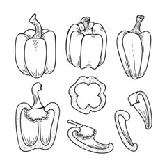 Set of sweet peppers line art. Harvest ripe vegetables from the garden. Doodle drawing of herbal products. Sliced bell pepper. Hand drawn vector outline illustration.