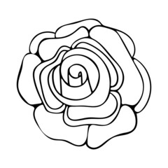 Blooming daisy flower bud line art. Doodle natural plant. Garden abstract flowers. Hand drawn vector outline illustration. Black and white graphics.