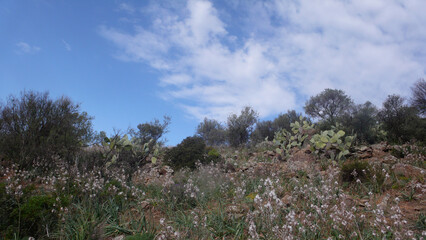 Obraz premium Paesaggio di Sardegna