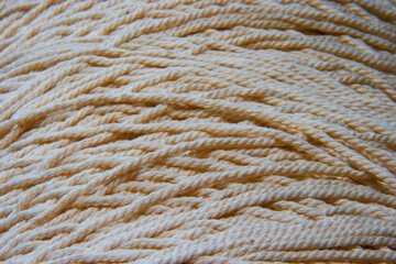 green price tag in a roll at an angle on a white background