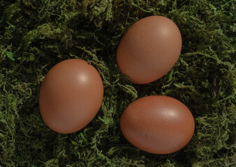 Three Eggs Lying on a Background of Dry Green Moss. Traditional Easter Holiday Composition with Brown Chicken Eggs ideal for Banner, Card, Greetings. Top View. No text. 