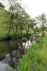 River Dove, Beresford Dale, Derbyshire, England

