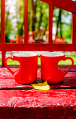 two heart shaped mugs with tea on a Park bench
